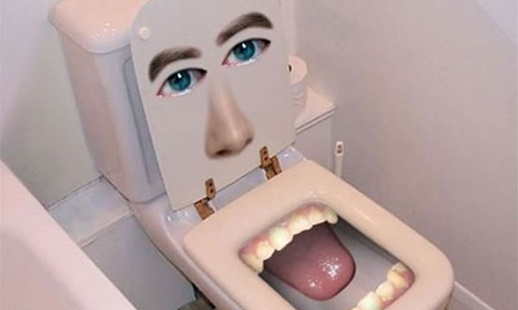 les-50-toilettes-les-plus-insolites-au-monde-une