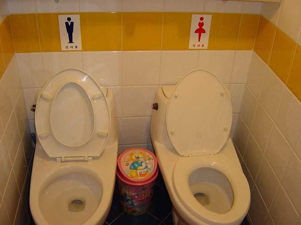les-50-toilettes-les-plus-insolites-au-monde-18