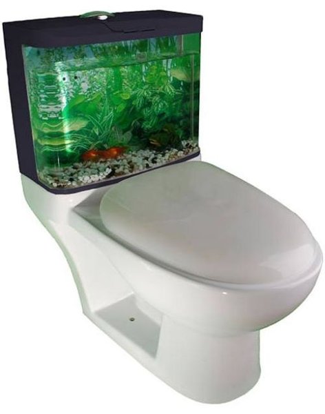 les-50-toilettes-les-plus-insolites-au-monde-24