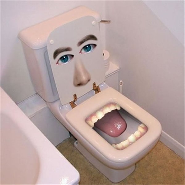 les-50-toilettes-les-plus-insolites-au-monde-43