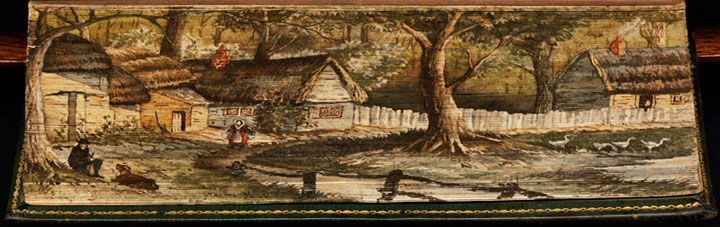 40-fresques-incroyables-cachees-sur-le-bord-des-pages-de-livres-anciens-35