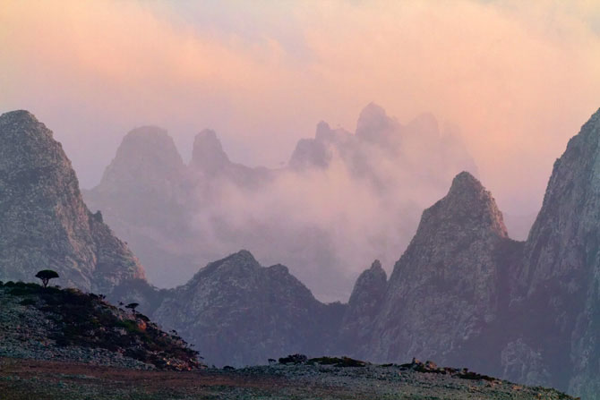 isolee-depuis-des-millions-dannees-lile-de-socotra-abrite-les-paysages-les-plus-extraterrestres-de-la-terre14