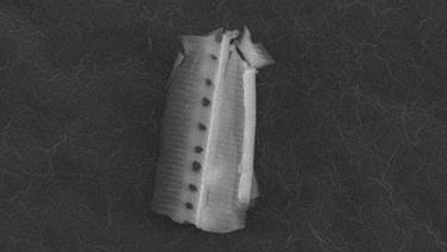 letre-humain-vient-il-de-faire-sa-premiere-rencontre-avec-un-extraterrestre2