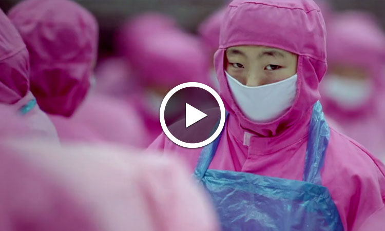 lhorreur-de-la-surconsommation-illustree-par-cet-extrait-edifiant-du-film-samsara-une