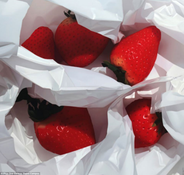 oeuvres-hyper-realistes-et-bluffantes-qui-ne-sont-pas-des-photographies107