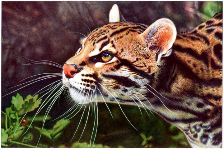 oeuvres-hyper-realistes-et-bluffantes-qui-ne-sont-pas-des-photographies93