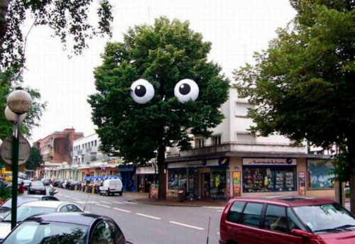 quand-le-street-art-se-met-au-vert-et-se-mele-a-la-nature-15