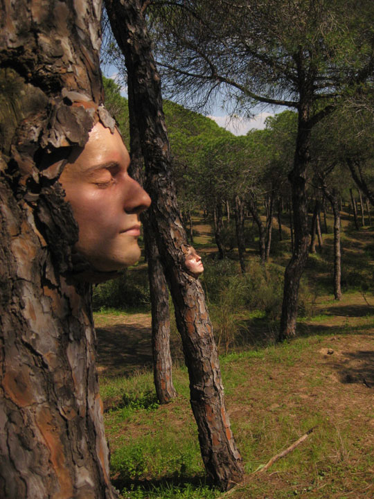 quand-le-street-art-se-met-au-vert-et-se-mele-a-la-nature-26