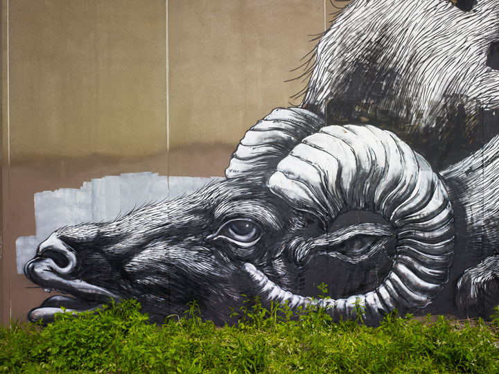 quand-le-street-art-se-met-au-vert-et-se-mele-a-la-nature-4