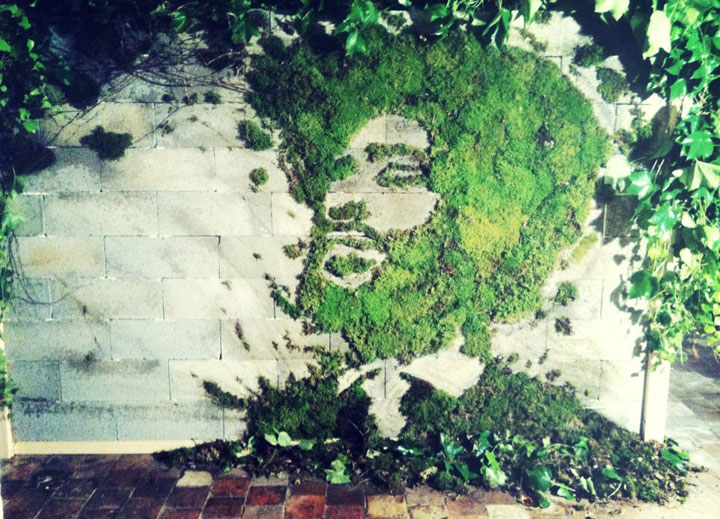 quand-le-street-art-se-met-au-vert-et-se-mele-a-la-nature-40