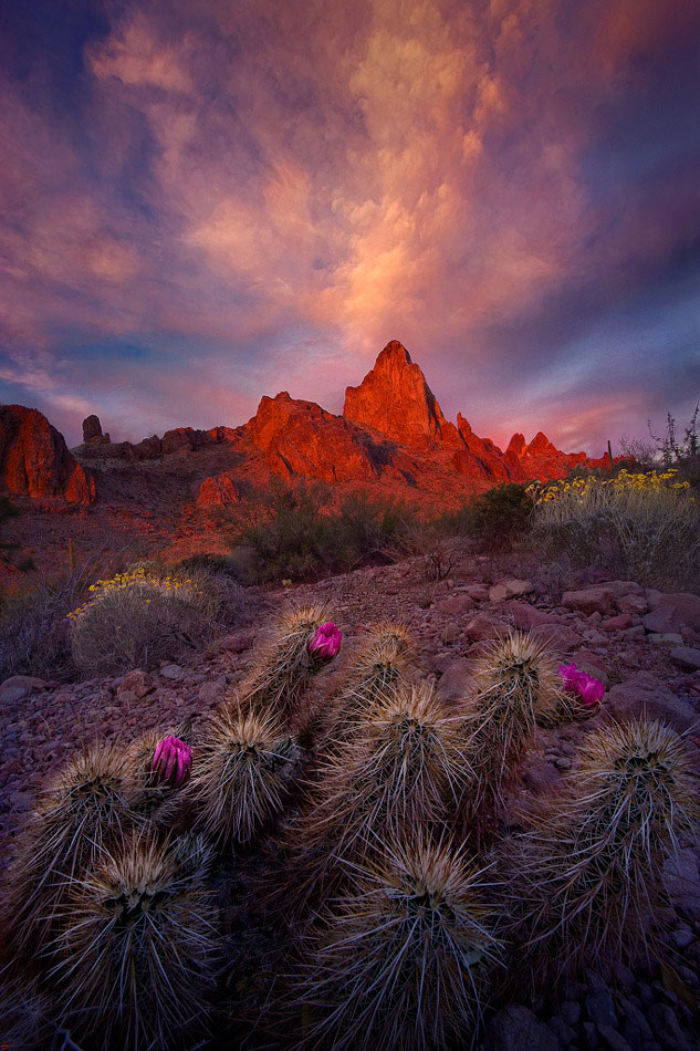 un-photographe-sublime-les-paysages-naturels-damerique-avec-des-jeux-de-lumiere-a-couper-le-souffle26