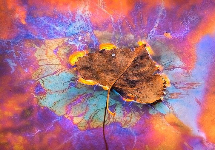 un-photographe-sublime-les-paysages-naturels-damerique-avec-des-jeux-de-lumiere-a-couper-le-souffle35