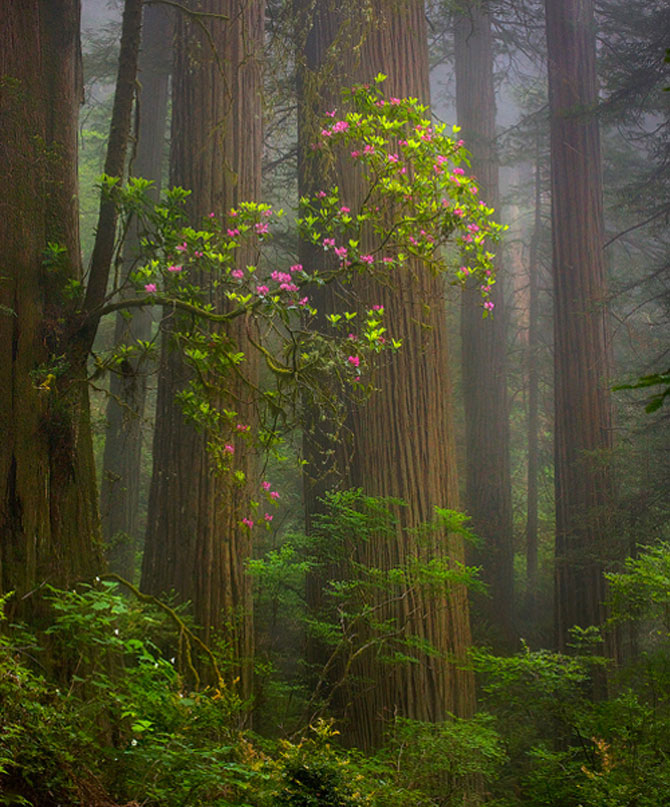 un-photographe-sublime-les-paysages-naturels-damerique-avec-des-jeux-de-lumiere-a-couper-le-souffle9