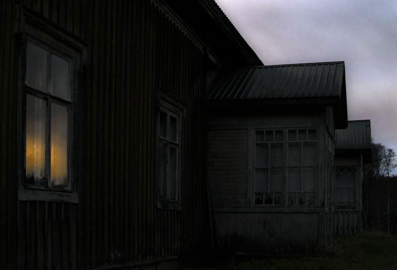 une-maison-abandonnee-dans-les-bois-envahie-par-des-dizaines-d-animaux-en-tous-genres1