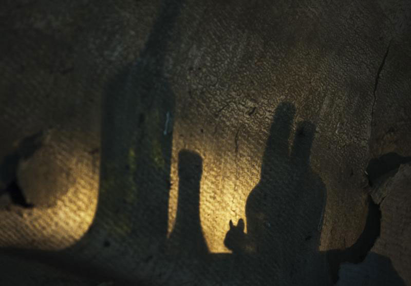 une-maison-abandonnee-dans-les-bois-envahie-par-des-dizaines-d-animaux-en-tous-genres3