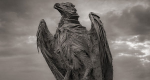 partez-a-la-decouverte-dun-lac-meurtrier-qui-petrifie-litteralement-les-animauxUne