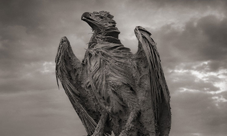 partez-a-la-decouverte-dun-lac-meurtrier-qui-petrifie-litteralement-les-animauxUne