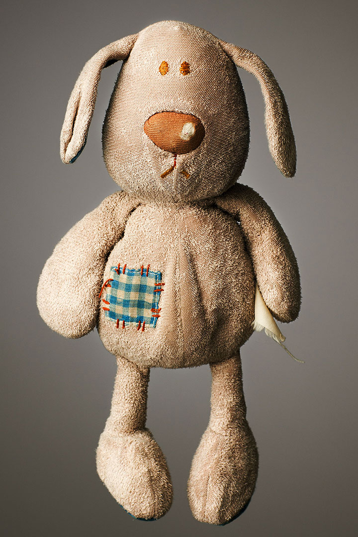 21-peluches-usees-par-l-amour-de-leur-proprietaire-18