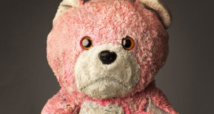 22-portraits-oursons-peuches-usages-une