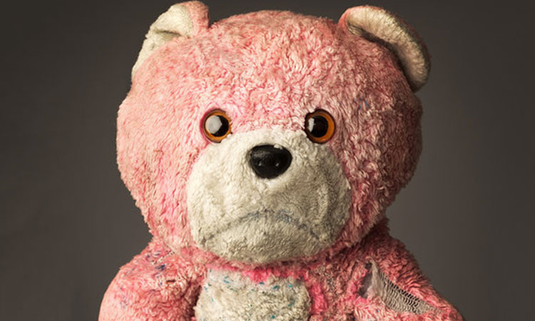 22-portraits-oursons-peuches-usages-une