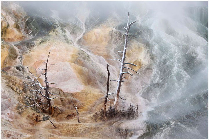 27-photographies-bluffantes-qui-ont-ete-primees-au-wildlife-photographer-201312