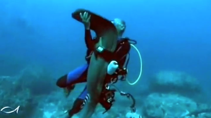 assistez-a-l-incroyable-demonstration-d-amitie-d-une-murene-envers-un-plongeur2