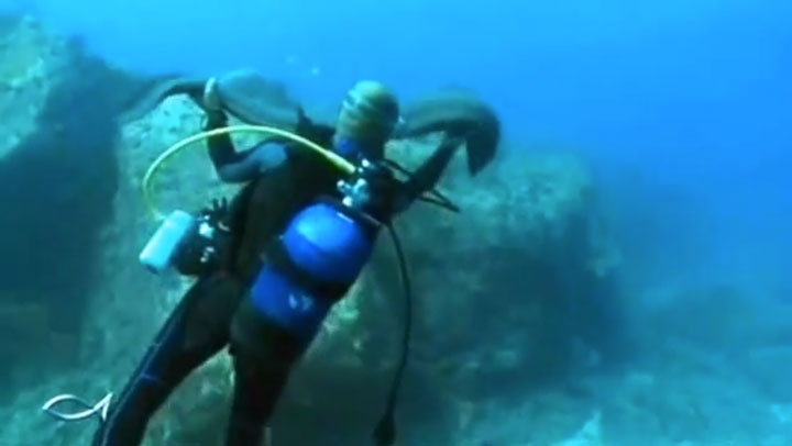 assistez-a-l-incroyable-demonstration-d-amitie-d-une-murene-envers-un-plongeur3