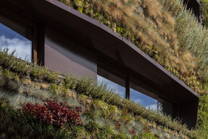 decouvrez-les-jardins-les-plus-etranges-et-les-plus-magnifiques-jardins-du-monde12