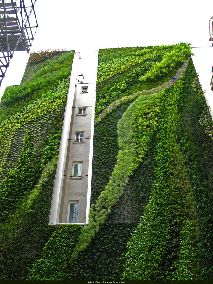 decouvrez-les-jardins-les-plus-etranges-et-les-plus-magnifiques-jardins-du-monde31