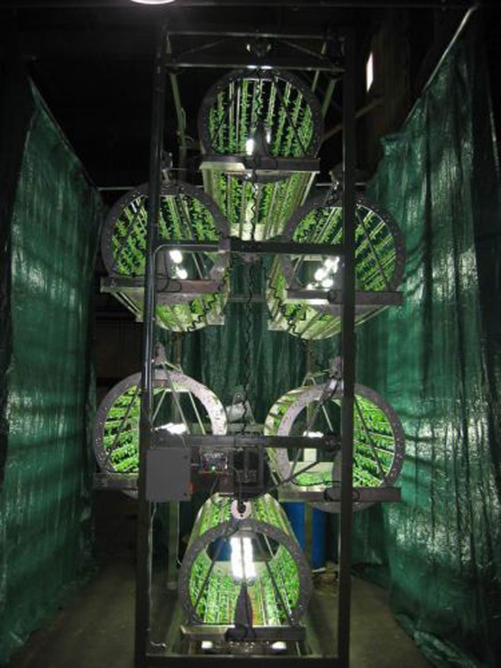 decouvrez-les-jardins-les-plus-etranges-et-les-plus-magnifiques-jardins-du-monde44