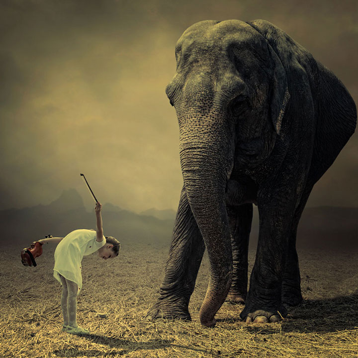 plongez-dans-lunivers-feerique-de-caras-a-travers-une-magnifique-serie-de-38-photographies10