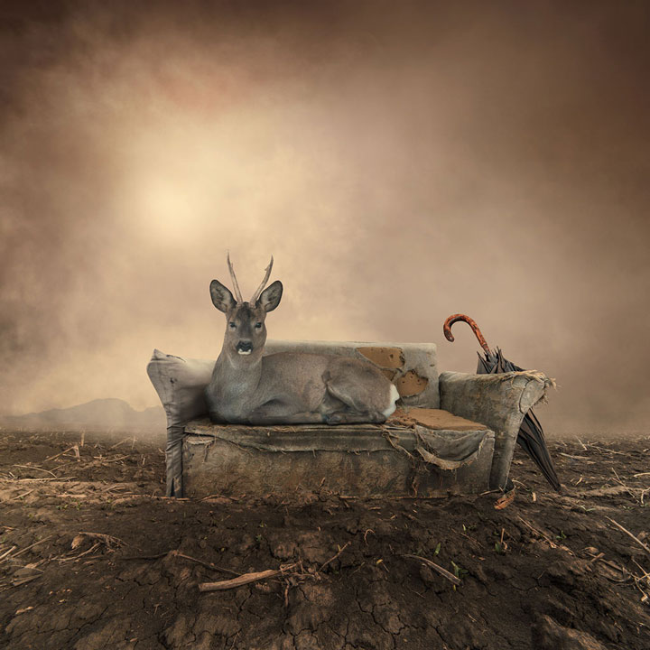 plongez-dans-lunivers-feerique-de-caras-a-travers-une-magnifique-serie-de-38-photographies23