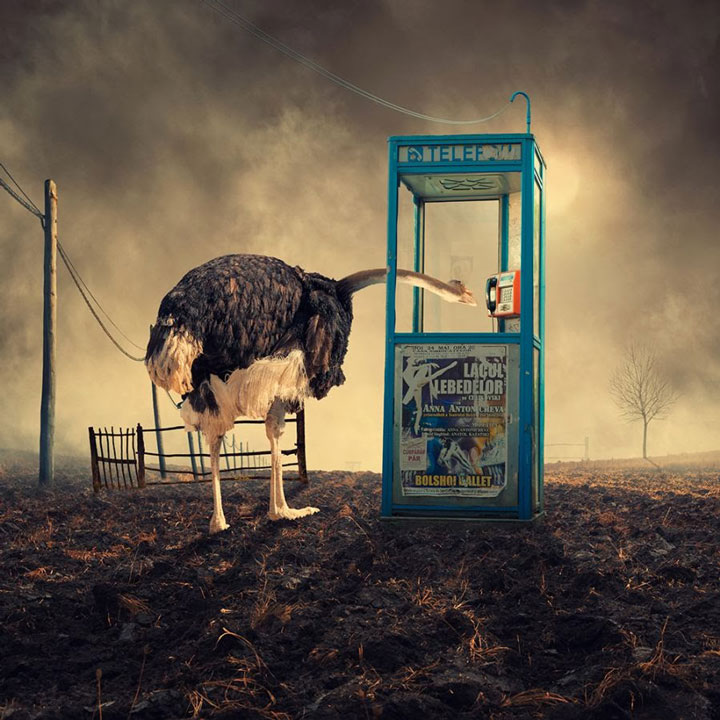 plongez-dans-lunivers-feerique-de-caras-a-travers-une-magnifique-serie-de-38-photographies27