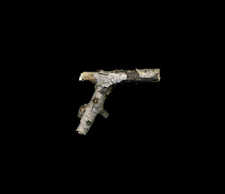 timothy-met-en-scene-lautisme-de-son-fils-dans-des-photographies-touchantes-pleines-de-malice13