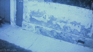 20-scenes-animees-qui-prouvent-que-la-russie-est-lendroit-le-plus-bizarre-au-monde1