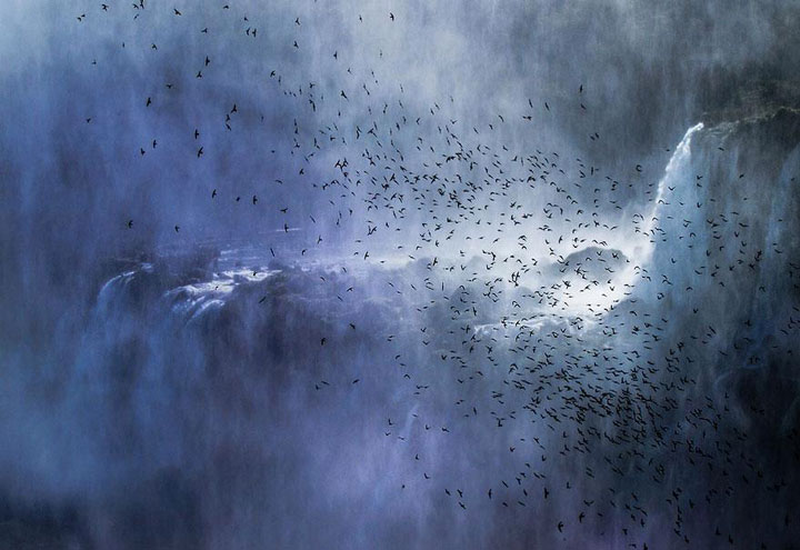 22-sublimes-photographies-danimaux-prises-durant-le-concours-national-geographic-16