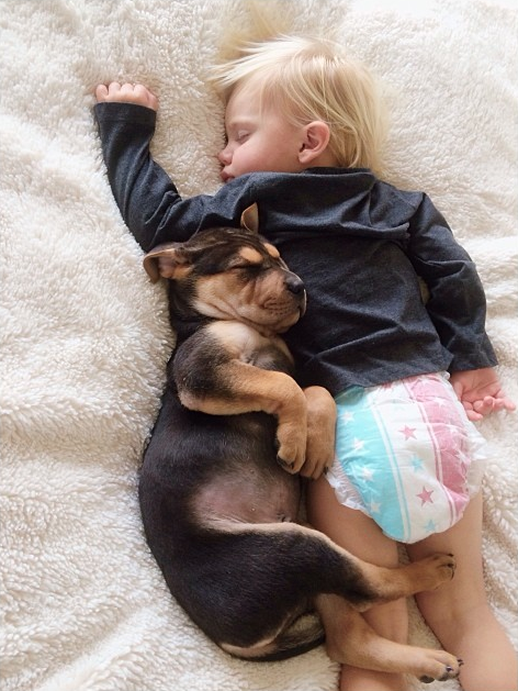 decouvrez-lemouvante-relation-dun-chiot-et-dun-enfant-a-travers-une-serie-de-cliches-touchants38