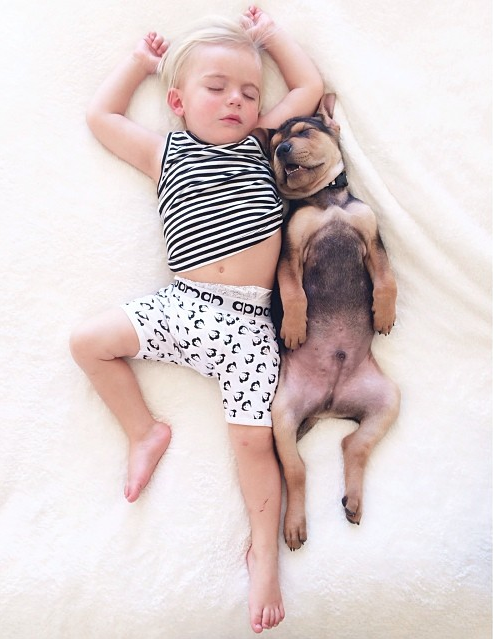 decouvrez-lemouvante-relation-dun-chiot-et-dun-enfant-a-travers-une-serie-de-cliches-touchants41