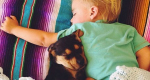 decouvrez-lemouvante-relation-dun-chiot-et-dun-enfant-a-travers-une-serie-de-cliches-touchantsUNE1
