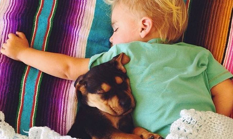 decouvrez-lemouvante-relation-dun-chiot-et-dun-enfant-a-travers-une-serie-de-cliches-touchantsUNE1
