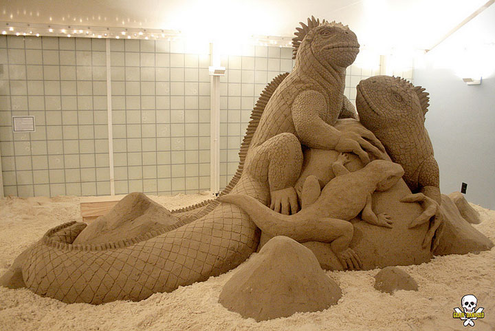 dimpressionnantes-sculptures-de-sables69
