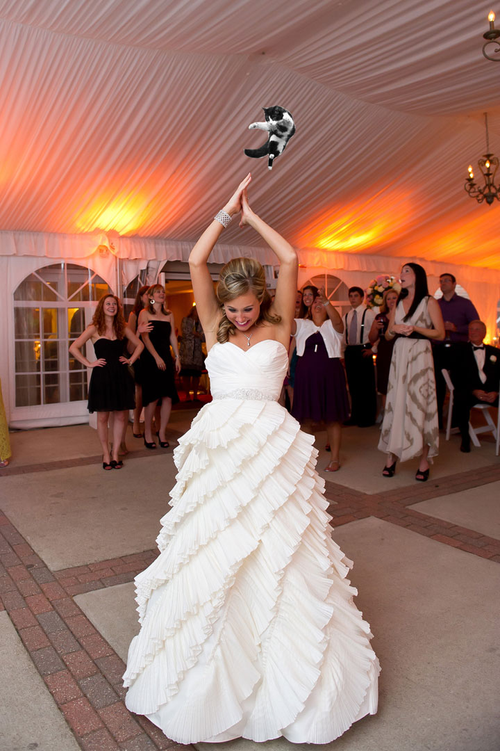 le-lancer-de-chats-dans-les-mariages-le-nouveau-phenomene-delirant-sur-internet12