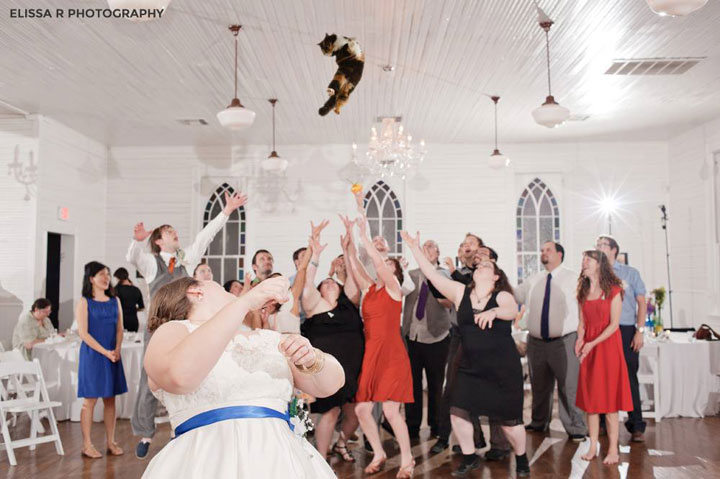 le-lancer-de-chats-dans-les-mariages-le-nouveau-phenomene-delirant-sur-internet18