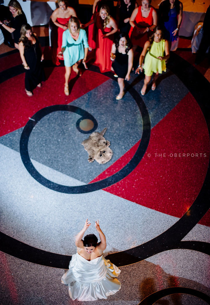 le-lancer-de-chats-dans-les-mariages-le-nouveau-phenomene-delirant-sur-internet20