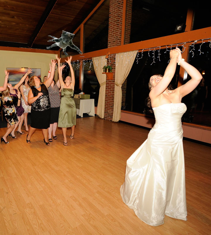 le-lancer-de-chats-dans-les-mariages-le-nouveau-phenomene-delirant-sur-internet23