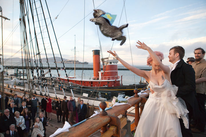le-lancer-de-chats-dans-les-mariages-le-nouveau-phenomene-delirant-sur-internet24