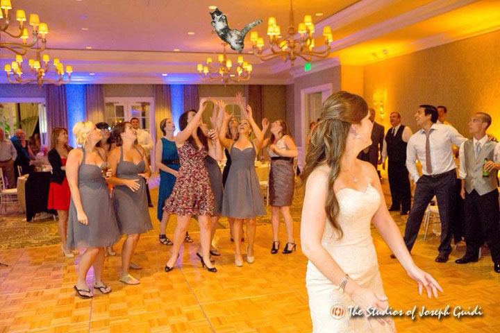 le-lancer-de-chats-dans-les-mariages-le-nouveau-phenomene-delirant-sur-internet25