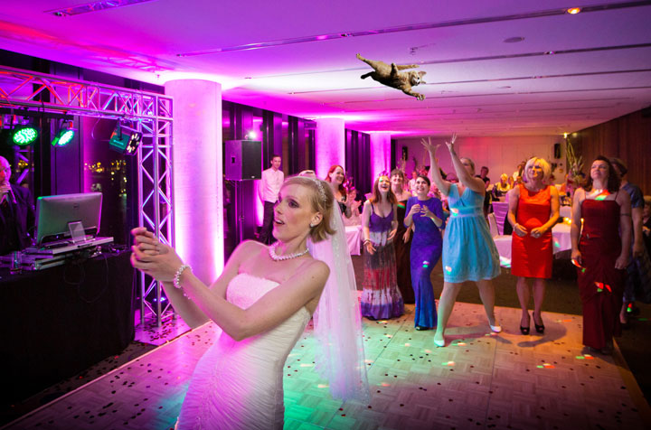 le-lancer-de-chats-dans-les-mariages-le-nouveau-phenomene-delirant-sur-internet28