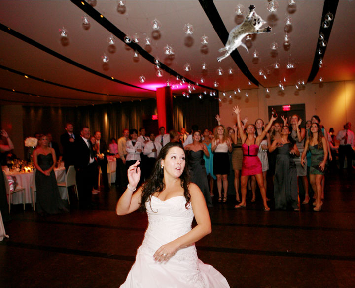 le-lancer-de-chats-dans-les-mariages-le-nouveau-phenomene-delirant-sur-internet30