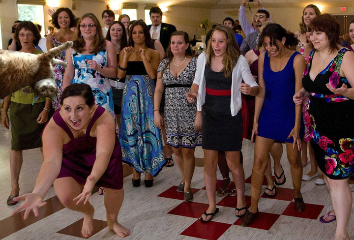 le-lancer-de-chats-dans-les-mariages-le-nouveau-phenomene-delirant-sur-internet32